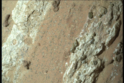 Martian rock with leopard spot patterns photographed by NASA’s Perseverance rover in Jezero Crater.