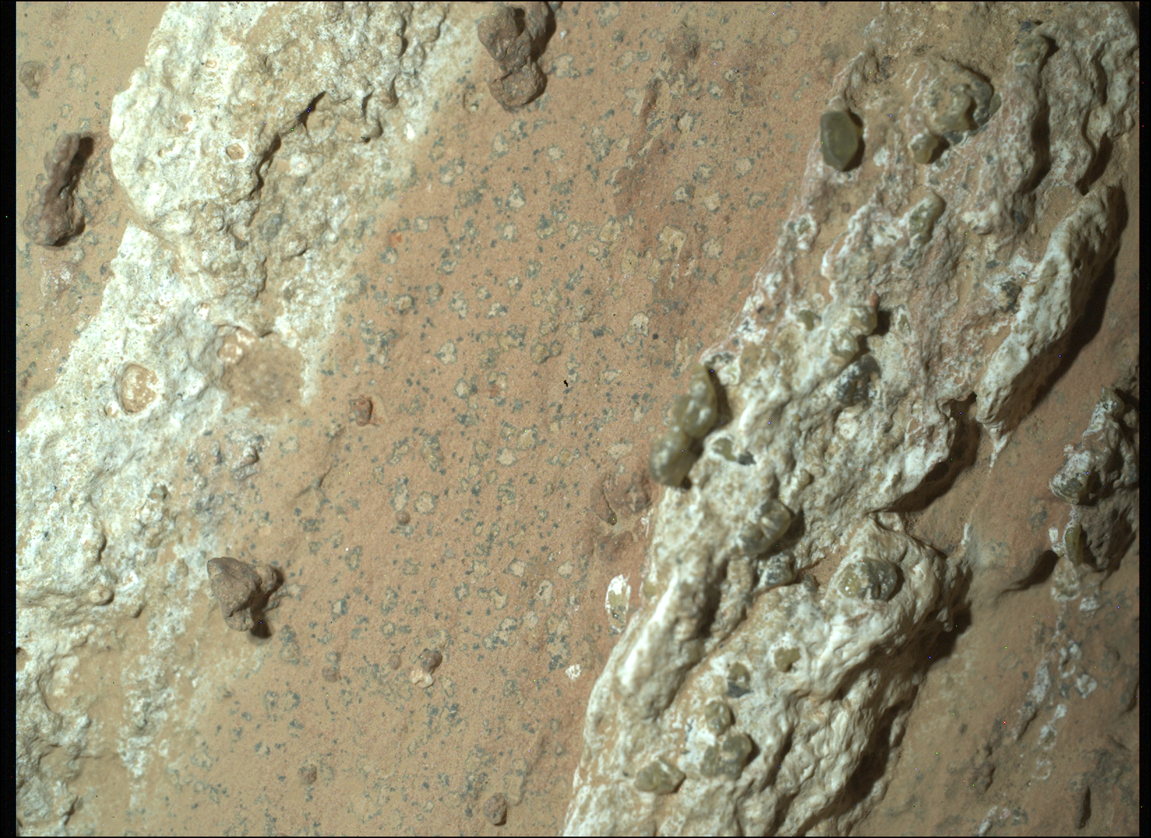 Martian rock with leopard spot patterns photographed by NASA’s Perseverance rover in Jezero Crater.